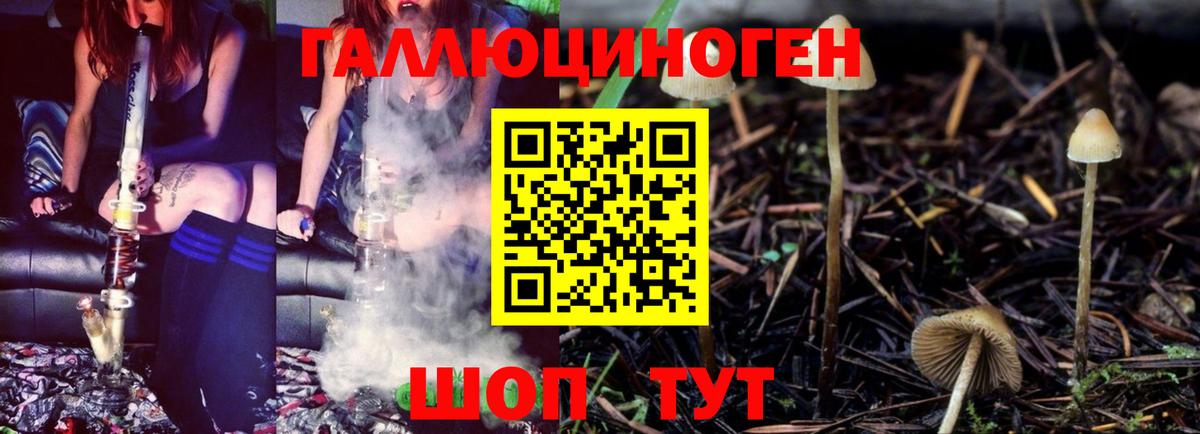 Галлюциногенные грибы Magic Shrooms  Вход с VPN  Электрогорск  Галлюциногенные грибы Cubensis 